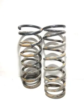 Rear coil spring