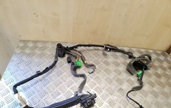 Front door wiring loom