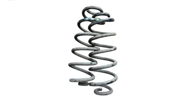Rear coil spring