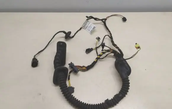 Front door wiring loom