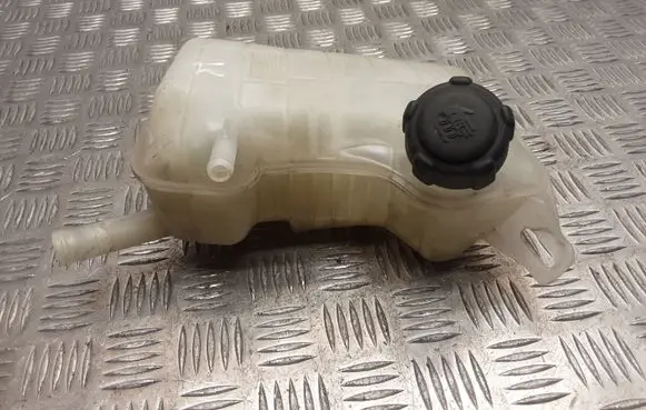 Renault Scenic II - Grand scenic II Coolant expansion tank/reservoir cap 8200262036