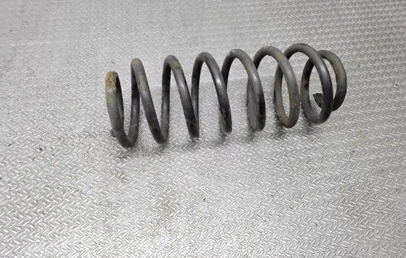 Rear coil spring