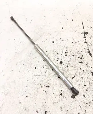 Tailgate/trunk strut/damper