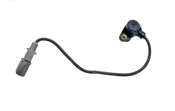 Sensor