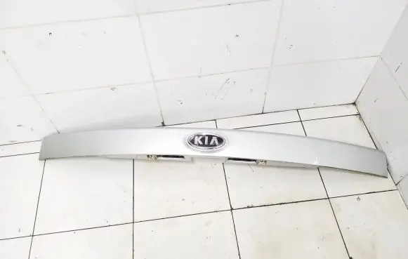 Trunk door license plate light bar