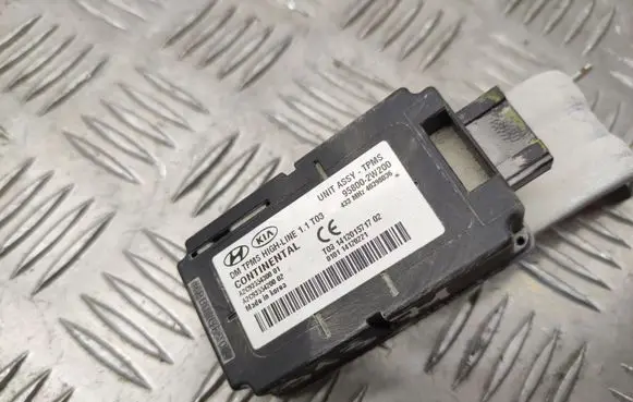 Hyundai Santa Fe Other control units/modules 958002W200