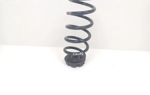Rear coil spring