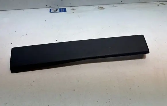 Tesla Model S Panel trim 100230101B