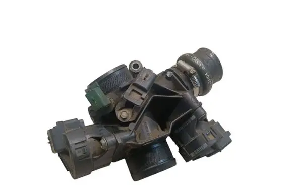 Peugeot 407 Throttle valve