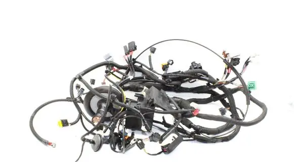 Renault Arkana Engine installation wiring loom 
