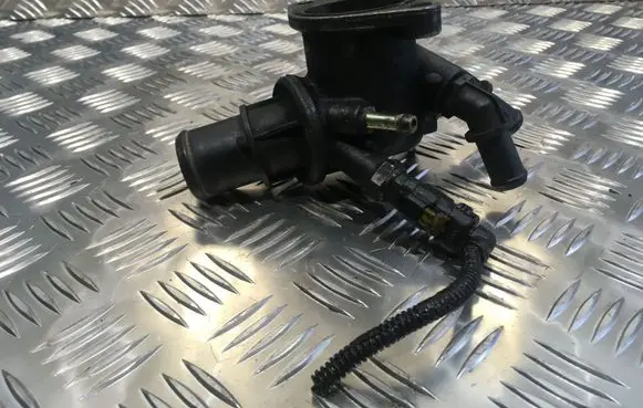 Thermostat/thermostat housing