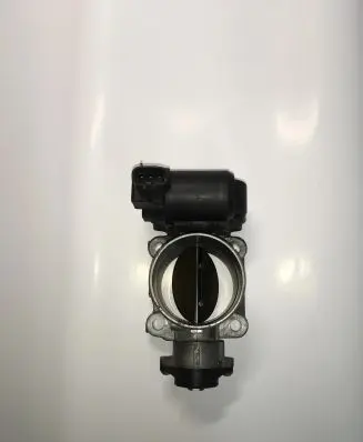 Toyota Hilux (AN10, AN20, AN30) Throttle valve 1923002010