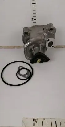 Volkswagen Transporter - Caravelle T6 Water pump 980162