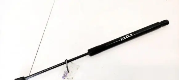 Tailgate/trunk strut/damper