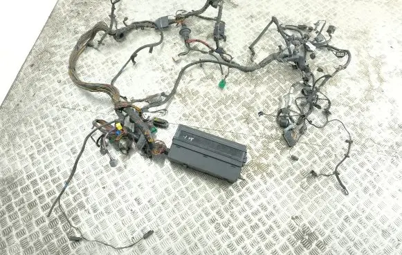 Land Rover Range Rover Sport L320 Engine installation wiring loom YMB506560A YMQ501760