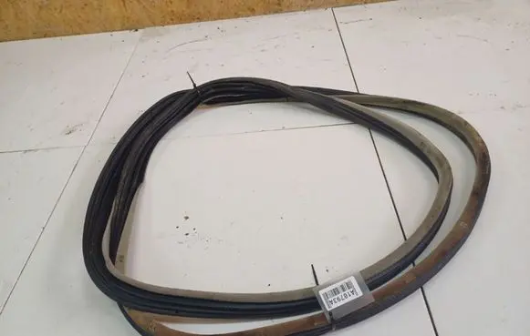 Renault Espace - Grand espace IV Rubber seal front coupe door 