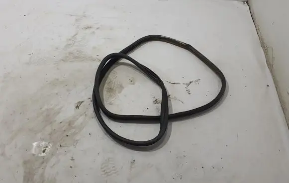 Renault Kangoo II Rubber seal sliding door (on door) 8200425635