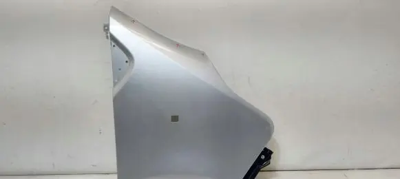 Renault Trafic III (X82) Fender
