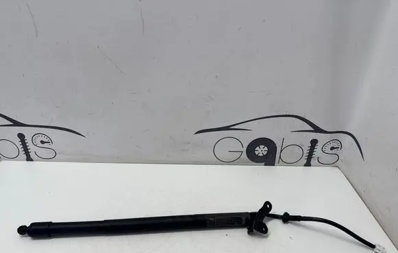 Lexus NX Tailgate strut 6891078032
