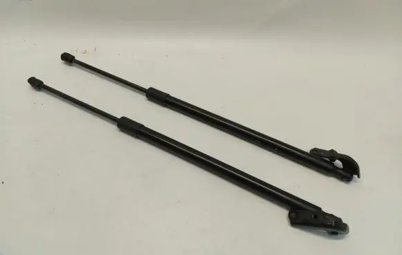 Tailgate strut