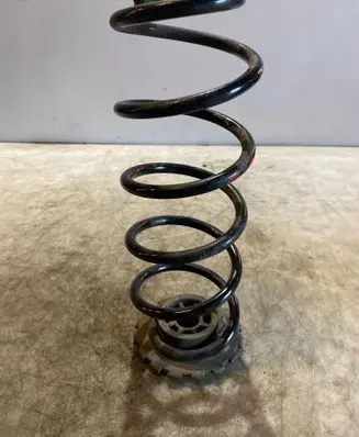 Rear coil spring