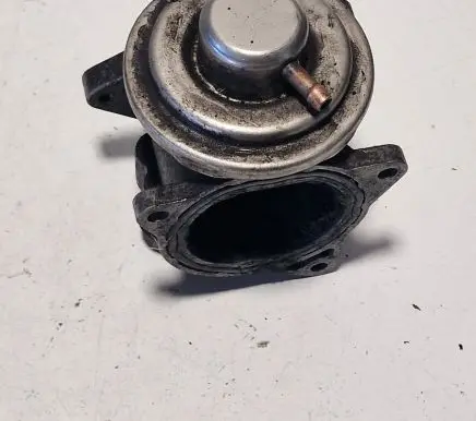 Volkswagen Golf V EGR valve 038131501AN 271721092