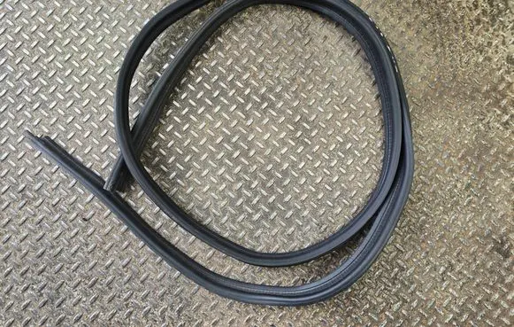 Dodge Challenger Trunk rubber seal (body) 43791C