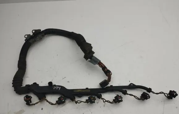 BMW 5 E39 Fuel injector wires 224941902