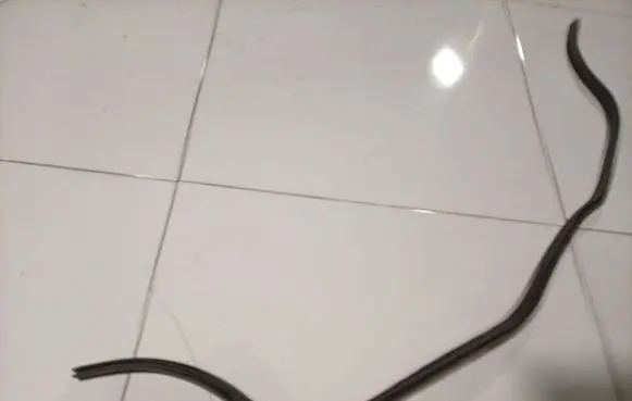Volkswagen PASSAT B6 Engine compartment rubber 