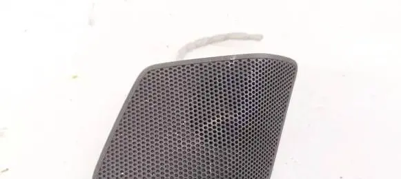 Front door speaker