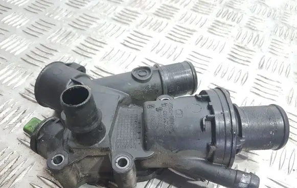 Thermostat/thermostat housing