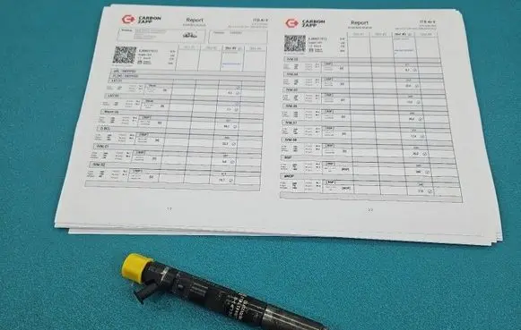 Renault Clio II Fuel injector EJBR01701Z IMPRK1585582