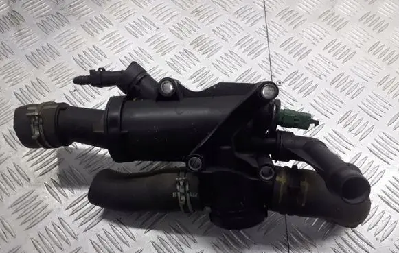 Thermostat/thermostat housing