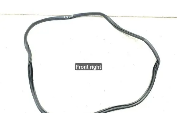 Ford Expedition Front door rubber seal JL1B7820708AF