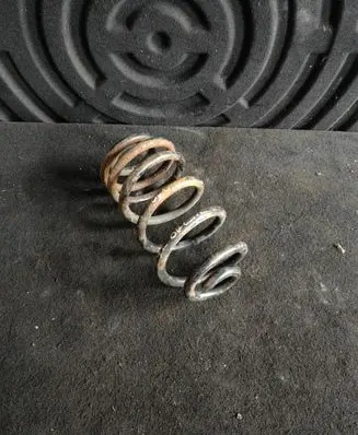 Rear coil spring