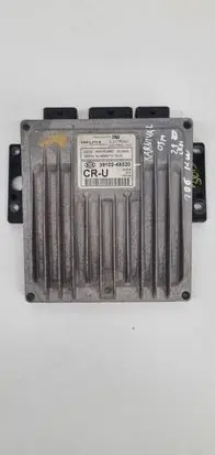KIA Carnival Engine control unit/module 391024X520