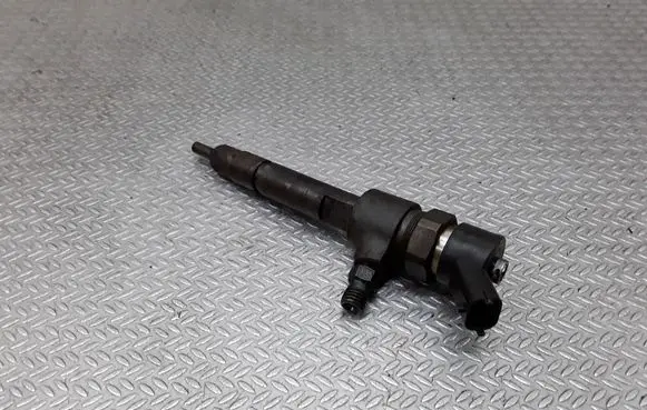 Fiat Punto (188) Fuel injector 0445110019