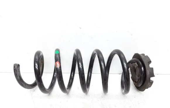 Rear coil spring