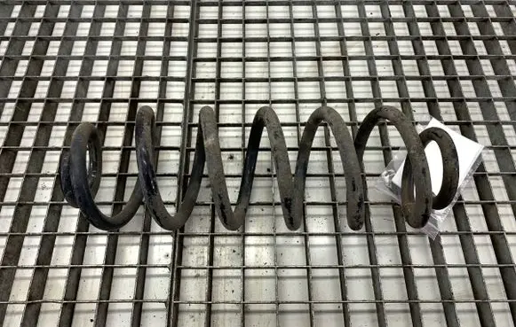 Rear coil spring