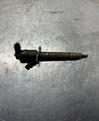 Volvo V70 Fuel injector 0445110298