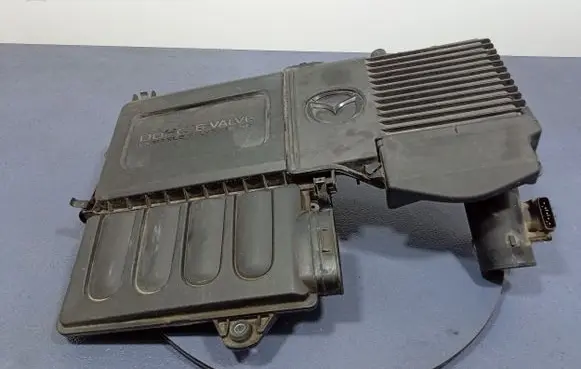 Engine control unit/module ECU