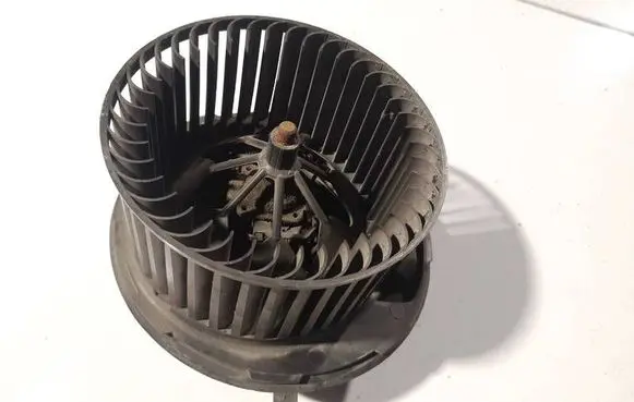 Volkswagen PASSAT B6 Heater fan/blower 3c0907521
