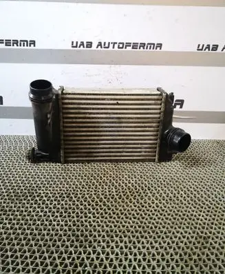 Renault Kadjar Intercooler radiator 144614EA1A 144614EA0A