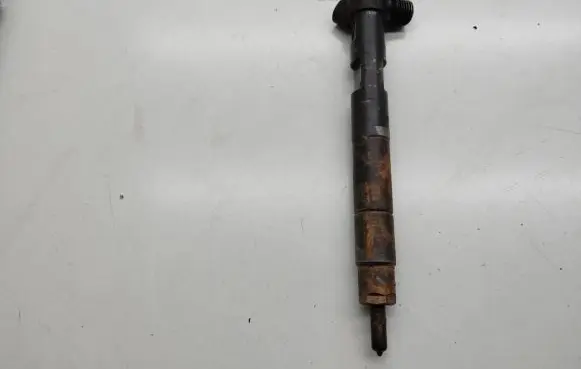 Mercedes-Benz Sprinter W906 Fuel injector A6510700587