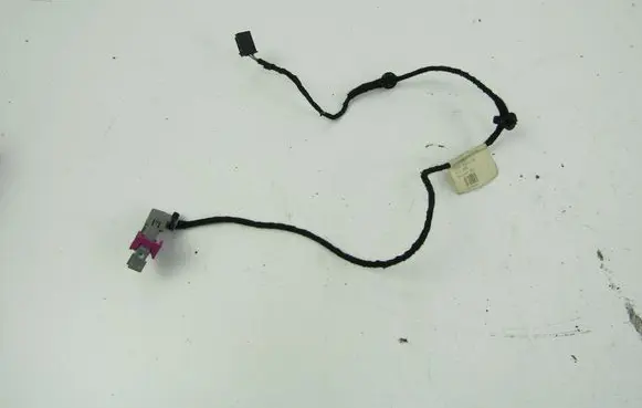 Volkswagen PASSAT B6 Front door wiring loom 3C1971558K