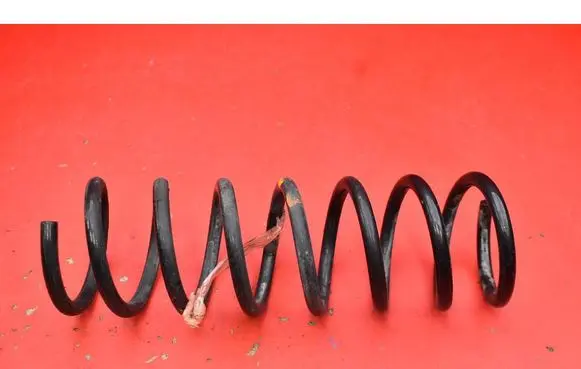 Rear coil spring