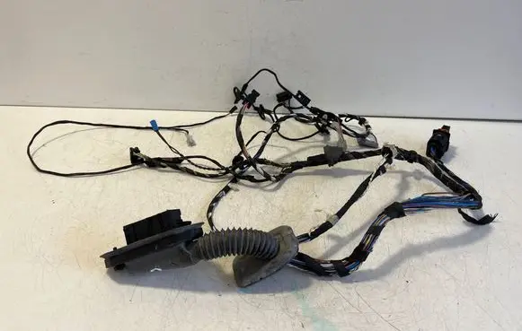 BMW X3 F25 Front door wiring loom 7252538