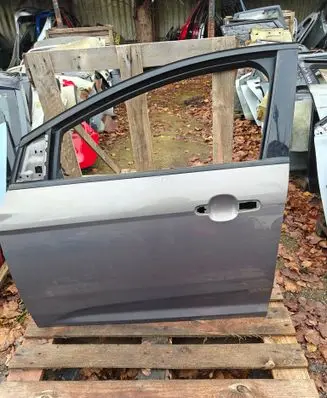 Ford Focus Front door