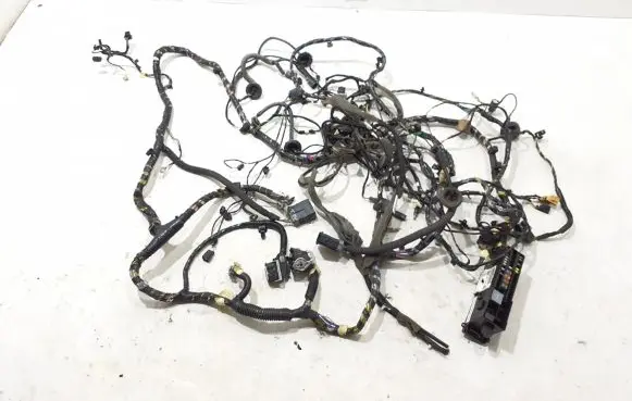 Ford Kuga II Other wiring loom DV6T18812DB
