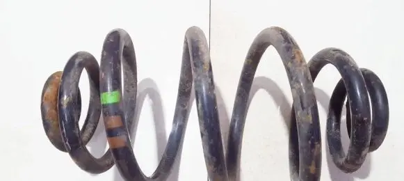 Volkswagen PASSAT B5.5 Rear coil spring
